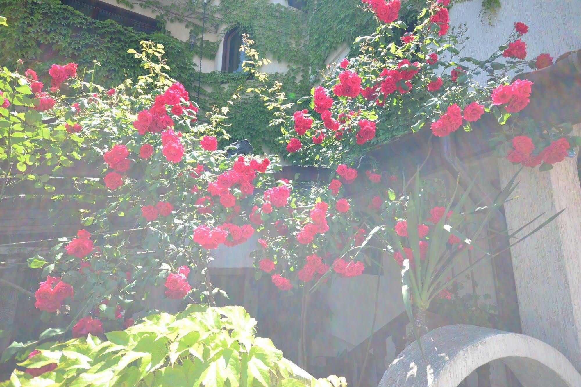 Family Hotel Sozopol